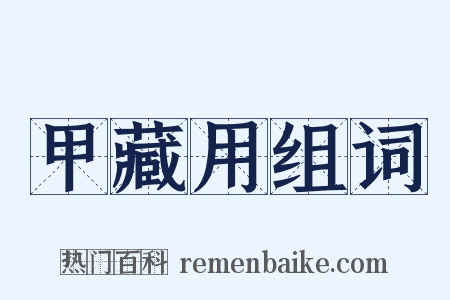 甲藏用组词是什么意思的图片